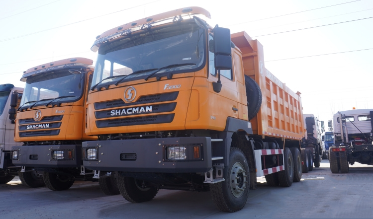 Shacman F3000 Dump Truck | Shacman 8x4 Dump Truck | Shacman Trucks for Sale